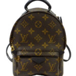 Louis Vuitton Monogram Palm Springs Backpack Mini Bag M41562 Brown